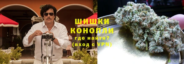 прущие грибы Алексин