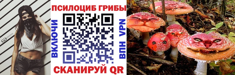Псилоцибиновые грибы Cubensis  Копейск 