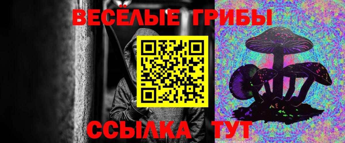 Копейск  купить наркотик  Вход с VPN  Псилоцибиновые грибы Psilocybe 